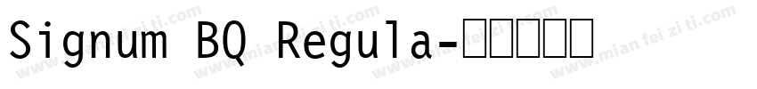 Signum BQ Regula字体转换
